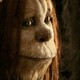 Illustration for article titled Where The Wild Things Are Gallery